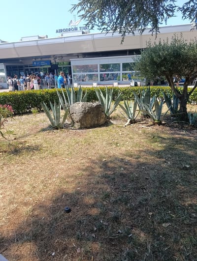 The image depicts the exterior of Tivat Airport (Aerodrom Tivat) in Mrčevac, Montenegro. The scene is set outdoors on a sunny day, indicated by the clear blue sky and strong shadows. In the foreground, a patch of dry, sun-baked grass is scattered with fallen leaves and what appear to be cigarette butts, with a small, dark ashtray visible in the center. Several large agave plants are positioned in front of a manicured hedge. A large, rough-textured rock sits amongst the agave plants. Behind the hedge, a line of people are gathered, some with luggage, suggesting they are waiting to enter the airport or have just arrived. They appear to be queueing near the entrance, which is marked with a sign indicating "Odlasci Departures." The airport building itself is modern, with large glass windows reflecting the surroundings and the sky. A portion of an olive tree is visible in the right side of the frame, its branches casting dappled shade. The overall atmosphere is one of a typical travel day at a regional airport during warm weather.