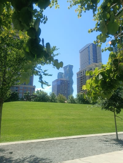 The image shows a sunny day in Mississauga, Canada, with a clear blue sky above. The foreground features a neatly manicured green lawn, bordered by a path of grey gravel and a concrete walkway. Lush green trees frame the scene, with their leaves casting dappled shadows on the ground. In the background, several modern high-rise buildings stand tall, their architectural styles varying. One building on the left has a unique twisted design, while others are more traditional rectangular structures with numerous windows. There is also a hint of a dark metal sculpture in the middle ground of the park. The overall impression is one of a well-maintained urban park.