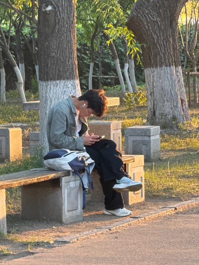 A person is sitting on a park bench in Zhongtun, China, looking at a mobile phone. The person has black hair, is wearing glasses and a light green jacket, and has one earbud in. A backpack is sitting next to the person on the bench. The person's legs are stretched out in front of them, and they are wearing black pants and white shoes. The bench is made of concrete. A tree is located next to the bench. The scene appears to be outdoors on a sunny day.