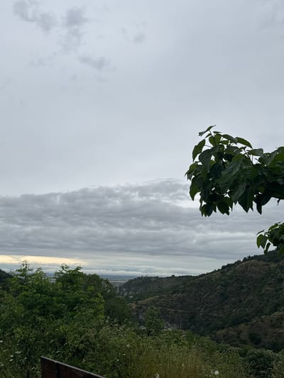 The image depicts a panoramic view of a valley with rolling hills covered in dense vegetation. The sky is overcast with a thick layer of gray clouds. In the foreground, there is a wooden bench and a variety of green plants, including tall grasses and wildflowers. The middle ground features a lush green hillside with trees and some visible rock formations. In the distance, a town or city is nestled within the valley, with buildings and structures scattered among the landscape. The overall impression is one of a natural landscape overlooking a populated area on an overcast day. This view is likely from a vantage point on the outskirts of Asenovgrad, Bulgaria, possibly near the Asen's Fortress, offering a sweeping vista of the surrounding valley and the town below.