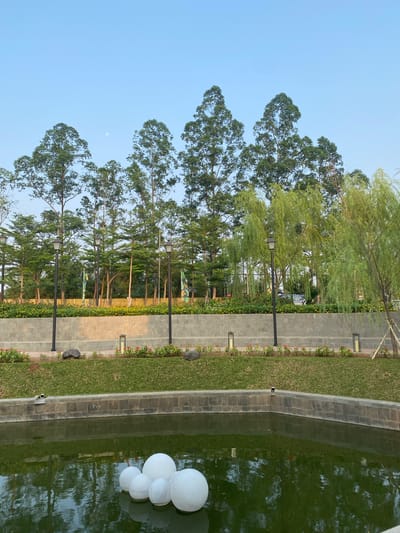 The image depicts a serene outdoor scene, likely a park or garden area, with a clear blue sky and a crescent moon visible in the upper left quadrant. The setting features a paved pathway lined with lush green grass and ornamental plants. Tall trees with dense foliage create a natural canopy, interspersed with lampposts that suggest the area is also functional at night.
To the right of the pathway, a water feature, possibly a pond or fountain, is present. The water is a deep green hue, reflecting the surrounding trees and sky. Floating on the surface of the water are several white spherical objects, appearing to be decorative lights or buoys. The edge of the water feature is bordered by stone.
The time of day appears to be late afternoon or early evening, judging by the soft lighting and the presence of the moon. The weather seems clear and pleasant, conducive for an outdoor setting. There is no visible text in the image. The overall mood is tranquil and peaceful, emphasizing the natural beauty of the landscape. The location context of East Jakarta, Indonesia, suggests a tropical or subtropical climate, which aligns with the verdant greenery and tall trees seen in the image.