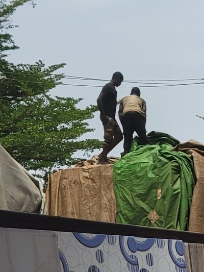 Two individuals are positioned atop a structure, possibly a building, situated in Maiburiji, Nigeria. One person is clad in a dark shirt and tan pants, while the other is wearing a light-colored shirt and dark pants. They are standing on top of an object covered in brown and green material. Power lines are visible against a pale sky. Trees are visible below them. A partially visible structure in the foreground features patterned tiles.