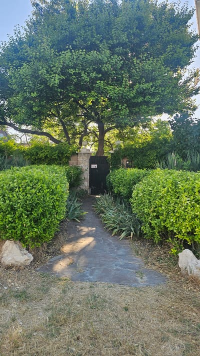 The image depicts a garden scene with a prominent, large tree on the left, its branches reaching upwards and outwards, casting shadows on a paved pathway. The pathway is made of irregular stone slabs and leads towards a dark, closed gate set within a low stone wall. Flanking the pathway are various green bushes, some neatly trimmed into rounded shapes, and spiky, succulent-like plants. To the right of the pathway, dry, sun-baked grass is visible, suggesting a warm climate or a dry season. Two light-colored rocks are placed near the edge of the pathway.

The time of day appears to be late afternoon or early evening, as indicated by the long shadows stretching across the path and the warm, golden light filtering through the leaves of the tree. The weather seems to be clear and sunny.

On the gate, there is a small sign with some visible text that appears to be a warning or information. Specifically, a sign with an image of a dog and text below it is visible on the gate. The overall setting is that of a private garden or property entrance, with a sense of established greenery and a rustic pathway. The location is identified as Sevastopol, Ukraine.