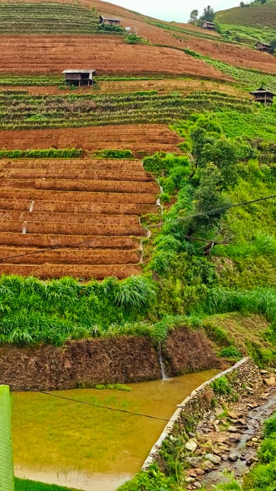 This detailed image depicts an expansive terraced agricultural landscape located in Dế Xu Phình, Vietnam. The scene is dominated by a steep hillside intricately carved into numerous horizontal terraces, extending from the mid-ground upwards towards a light, overcast sky.

The terraces exhibit varying states of cultivation; some are exposed reddish-brown earth, indicating recent tilling, while others are covered in vibrant green vegetation, likely young crops or natural growth. Multiple small, rustic structures, presumably houses or shelters, are strategically placed on different terraces across the hillside. One prominent, elevated wooden house with a dark roof is visible on a mid-level terrace on the left, with at least three other similar structures discernible further up and to the right on higher terraces.

In the mid-section, several narrow streams of water are observed cascading down the vertical faces of the terraced steps on the left, suggesting an irrigation system or natural runoff. A dark, horizontal power or communication line stretches across the mid-ground, bisecting the image. Lush green foliage, including dense grasses and trees, covers the uncultivated areas and borders the terraced fields on the right side of the slope.

The foreground on the left features a large, rectangular body of light greenish-yellow water, appearing to be a flooded rice paddy with nascent green shoots visible within it. This paddy is bounded by a steep, dark earthen embankment over which a small waterfall descends from the upper ground. To the right of the paddy, a narrow, rocky stream bed with clear, flowing water is contained by a neatly constructed stone retaining wall. Dense green foliage, including a large, broad leaf, partially obscures the extreme lower-left corner of the frame. No human figures or animals are present in the scene.