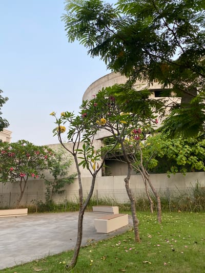 This image captures an outdoor scene, likely in a park or public space, in the city of North Jakarta, Indonesia. In the foreground, a paved area with a grey, tiled surface meets a lush green lawn. Scattered across the lawn are fallen pink and yellow flower petals, suggesting the presence of flowering trees. Two modern, light-colored benches with wooden seats are positioned on the paved area, one on the left and another on the right, facing inward towards the lawn.
Several trees are visible, some with delicate, leafless branches and others with abundant green foliage. Notably, there are flowering trees bearing clusters of pink and yellow blossoms. Behind the trees and benches, a low, light-colored concrete wall stretches horizontally across the frame, topped by a metal fence with tall, dry grass growing behind it.
Dominating the background is a large, modern building with a curved, concrete facade. The building appears to be under construction or has an unfinished aesthetic, with visible structural elements and dark openings suggesting windows or doorways. Overhanging the scene, the branches of a large tree with feathery green leaves fill the upper portion of the image, partially obscuring the clear, pale blue sky. The overall impression is one of a serene, contemporary urban landscape with natural elements.