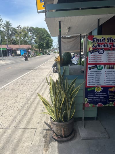 This image depicts a fruit smoothie stand on a street in Ban Tai Subdistrict, Thailand. The stand features a menu board advertising various fruit combinations with yogurt or as mixed smoothies. Options include "Mango + Yoghurt" for 60 Baht, "2 Mixed" options for 60 Baht, and "3 Mixed" options for 70 Baht. Some of the listed ingredients are banana, papaya, mango, orange, pineapple, coconut, lemon, apple, watermelon, chocolate, and ginger.

In the foreground, a large snake plant is potted in a rustic, weathered container. The stand itself has a wooden-like textured side panel and is supported by metal framing. Behind the stand, a paved road curves to the left, with a white and yellow line marking the lanes. Several motorcycles are parked near the stand, suggesting it's a place for local transport or residents.

In the background, trees and buildings are visible, indicating an outdoor, possibly urban or semi-urban setting. The sky is a clear, bright blue, suggesting it's daytime and the weather is sunny. The overall impression is one of a casual, everyday scene at a local business in a tropical environment.