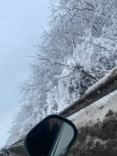The image depicts a winter scene from a vehicle's perspective, specified as being in or near Abinsk, Russia. In the lower right foreground, a black vehicle side mirror reflects the upper torso and arm of an individual in dark clothing, alongside blurred outlines of a white sedan and a blue vehicle, indicating traffic on a road. Immediately adjacent to the mirror, a metal guardrail, heavily encrusted with snow, dirty slush, and ice, stretches horizontally across the frame. Numerous icicles protrude downwards from the guardrail's lower edge. The ground beneath the guardrail is covered in dirty, compacted snow and slush. Dominating the background and mid-ground is a dense row of deciduous trees, their bare branches heavily blanketed with fresh white snow. The upper left portion of the image displays an overcast, light grey sky.
