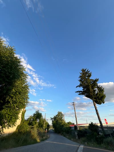 The image depicts a rural road in Újezd u Brna, Czechia, under a bright blue sky with scattered white clouds. A paved road curves into the distance, flanked by green vegetation and trees on both sides. Overhead, power lines stretch across the frame, supported by wooden poles. On the right side of the road, a tall, slender evergreen tree leans precariously. A red and white octagonal stop sign is visible near the base of this tree. In the background, buildings with red roofs and industrial structures can be seen, along with a distant electrical pylon. The sunlight casts shadows across the road and vegetation, indicating it is likely late afternoon or early evening. There are no people or animals visible in the image.