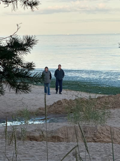 Two individuals, a woman and a man, walk along a sandy shore with a pine branch in the foreground and the sea in the background. The woman, positioned on the left, wears a grey vest over a black top and blue jeans, with blue footwear. The man, to her right, is dressed in a dark jacket with a striped collar and dark pants, with dark shoes. The sea stretches out behind them, with a faint line of green seaweed visible along the shore. The sky above is overcast. The scene appears to be located at Fort-Krasnaya Gorka, Russia.
