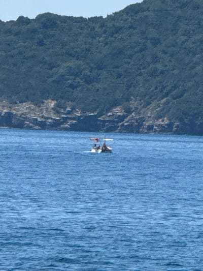 An outdoor, eye-level shot captures a bright, sunny day over a body of water. The scene is dominated by the vast expanse of the blue sea, with the distant shore featuring a densely wooded hillside rising from rocky cliffs. A small boat, white with a red top, navigates the water, carrying at least two people. The boat is positioned in the middle ground, closer to the viewer than the shore. The water exhibits a choppy texture, indicative of light waves. The sky above is a pale blue, with no clouds visible. The overall impression is one of a peaceful day at sea, with a natural landscape as the backdrop. The location is identified as Kamenovo, Montenegro.