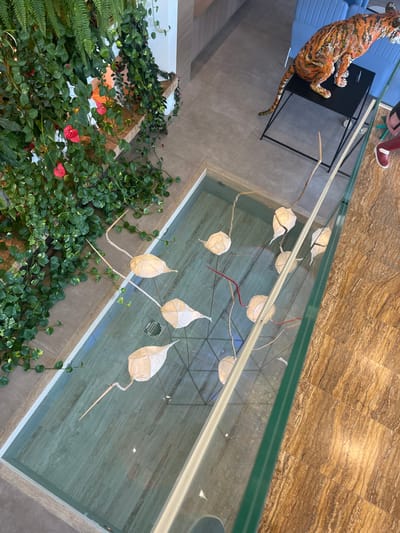 This high-angle, overhead image depicts an indoor environment in Galatina, Italy. The scene features a long, rectangular, shallow water feature integrated into the floor, containing a geometric arrangement of approximately ten white, abstract, leaf-like or pod-like objects suspended on thin, pale stems, with some incorporating thin red elements. Reflections are visible on the water's surface.
To the left of the water feature, a wall is extensively covered with lush green foliage, including cascading vines (resembling Pothos) and vibrant red Anthurium flowers. Some fern-like plants are also visible. This vegetation is arranged on a light-colored, stepped planter or shelf structure.
To the right of the water feature, separated by a clear glass barrier, is a textured, light-brown tiled floor. Further back on the right, an orange and black striped tiger sculpture is positioned on a small, black, rectangular table. Behind the tiger, light blue upholstered seating is visible. At the far right edge of the frame, the lower leg and foot of a person, wearing a red shoe, are partially visible. The overall environment appears to be a modern interior space.