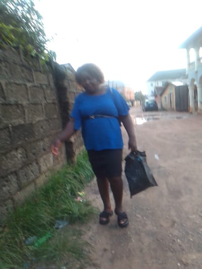 This image captures a blurry, candid moment of a woman walking outdoors on an unpaved road, likely in a residential or semi-urban area of Owerri, Nigeria.

The primary subject is a woman with short, dark hair, positioned slightly to the right of the frame. She is wearing a blue short-sleeved top, cinched at the waist with a dark belt, a black skirt, and black slip-on sandals. She carries a black plastic bag in her right hand, while her left hand is slightly extended near a stone wall.

To the left of the woman, a rough-textured stone or concrete block wall runs alongside the path. Green foliage and creepers grow over the top of the wall and lush green grass covers the ground at its base. Scattered among the grass are pieces of litter, including plastic bottles and wrappers.

The unpaved path she is walking on is a dirt road, characterized by several puddles reflecting the bright sky, indicating recent rainfall. In the background, various buildings are visible, including a multi-story structure with white arched balconies and another smaller building. A dark-colored car can also be seen further down the road.

The lighting suggests it is either late afternoon or early evening, with a bright sky providing soft illumination. The entire image has significant motion blur, particularly affecting the woman and the background elements, making specific details indistinct. There is no visible text in the image.