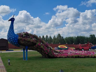 An artistic display of flowers and decorative elements is situated in Kovalivka, Ukraine. The centerpiece is a large, blue, peacock-shaped structure adorned with a profusion of pink and white flowers cascading down its body and tail. To the right of the peacock, a red vintage car, also overflowing with colorful flowers, is positioned. Behind these, a blue car can be partially seen. The ground is covered with green grass, and a brick wall with decorative pillars is visible in the background. Several trees line the horizon. The sky is a bright blue with scattered white clouds. Two small black lantern-style lamps are placed on the lawn in the foreground.