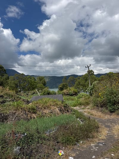 The image depicts a landscape scene in Kintamani, Indonesia. In the foreground, a dirt path is visible, with dry grass and scattered debris, including plastic bags and wrappers, along its edges. To the left of the path, there is an area of overgrown vegetation and what appears to be a small agricultural plot with green plants. Behind this, a black surface, possibly a road or tarp, is partially visible.
The midground is dominated by lush green trees and bushes, with some yellow flowers adding color to the vegetation on the right. A prominent wooden utility pole with wires stretches across the scene. Beyond the trees, a body of water, likely a lake, is visible.
In the background, rolling hills covered in dense trees form a natural barrier, leading to a mountain range in the distance. The sky above is a mix of blue sky and heavy, dark clouds, suggesting the possibility of changing weather. The overall impression is of a natural, rural environment with signs of human presence through the utility pole and discarded litter.
