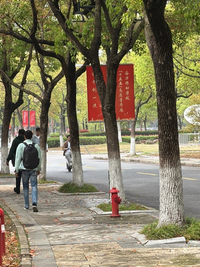 The image depicts a street scene in Jiangning District, China. Trees line the sidewalk, casting shadows and framing red banners with Chinese characters. A red fire hydrant stands near the curb. A group of people, primarily young men, are walking along the sidewalk. The overall impression is of an urban environment with a mix of nature and human activity.