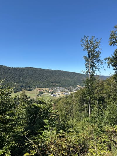 This media file captures a scenic view from a hillside overlooking a valley in Sonvilier, Switzerland. The image is dominated by lush green foliage in the foreground and mid-ground, with dense trees forming a wall of vegetation. Beyond the trees, a village with white buildings and red roofs is nestled in the valley, appearing small in the distance. A road or pathway winds through the village and into the surrounding fields. In the background, a large, tree-covered mountain slopes upwards, meeting a clear, bright blue sky. Two wind turbines are visible on the crest of the mountain, indicating a somewhat breezy day. The lighting suggests it is daytime, likely late morning or early afternoon, with the sun casting a warm glow on the landscape. The overall impression is one of a peaceful, rural setting with natural beauty and human habitation in harmony. There is no visible text in the image.