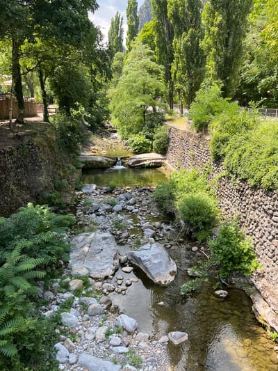 The image depicts a natural scene of a stream flowing through a rocky, verdant environment. The stream bed is filled with various sizes of rocks and pebbles, with clear, shallow water running over them. On either side of the stream, the banks are lined with stone walls, covered in places with lush green vegetation. Tall, slender trees with dense foliage rise beyond the walls, creating a shaded canopy overhead. The overall impression is one of a peaceful, natural setting within or near a city, likely a park or a protected area. The location is identified as being in the city of Vratsa, Bulgaria. There are no people visible in the image.
