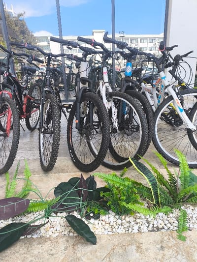 The image presents a ground-level view of a row of approximately ten mountain or hybrid bicycles parked outdoors in Kızılbaş, Northern Cyprus / Cyprus. The bicycles, featuring various frames in black, white, and red with knobby tires, are positioned in front of a modern building with a reflective glass façade. Metal support beams for the glass are visible vertically. In the immediate foreground, a narrow, raised planter bed is filled with white pebbles and adorned with artificial green and maroon foliage, including fern-like plants. The ground beneath the bicycles is a light-colored, paved surface. Reflections in the glass façade show additional bicycles, indistinct vehicles, and elements of a street or parking area. The background, visible above the reflections and through clearer sections of the glass, reveals multi-story residential or hotel buildings with balconies, surrounded by green trees under a clear blue sky. No individuals are visible in the scene.