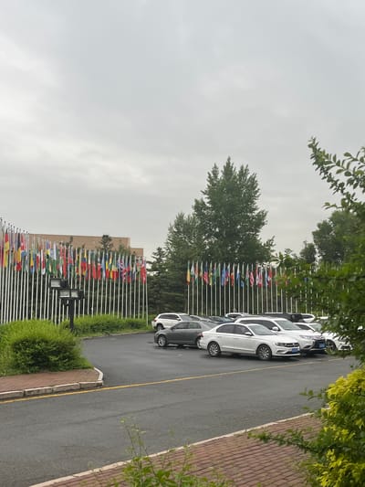 The image, rotated 90 degrees counter-clockwise, depicts an outdoor scene featuring a long array of national flags, parked vehicles, and lush vegetation under an overcast sky.
In the central and left portions of the frame (when correctly oriented), numerous flags, each mounted on a tall white pole, are arranged in multiple rows extending into the background. These flags display a diverse range of national designs and colors, suggesting an international or diplomatic setting. Behind the flags, a large, light-colored building, possibly institutional, is partially visible amidst tall green trees.
To the right, a line of cars, primarily white sedans, is neatly parked along an asphalt road. The license plates on several cars are visible, displaying Chinese characters, including "吉A" on the closest white vehicle, which corresponds to Changchun City, Jilin Province. The road features a distinct yellow dividing line. Parallel to the road is a brick sidewalk or pathway, bordered by well-maintained green bushes and smaller trees.
The sky is uniformly grey and overcast, indicating a cloudy daytime setting with diffused lighting. No direct sunlight is apparent. The environment is rich with greenery, including large deciduous trees and dense bushes, which frame the top and bottom of the scene. No individuals are present in the photograph. The overall impression is one of orderliness and officialdom, consistent with a governmental or international organization's premises.