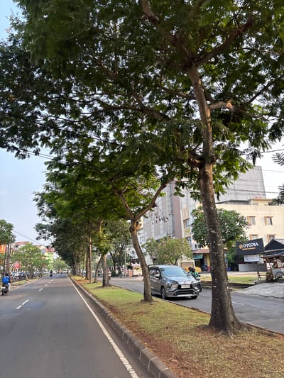The image depicts a street scene in Binong, Indonesia, with a prominent line of trees shading a paved road. The perspective is from the side of the road, looking down its length, which recedes into the distance. The trees are large and leafy, with some branches extending over the road.

Several vehicles are visible on the road, including cars and motorcycles. On the right side of the road, there is a grassy median with a sidewalk and a curb. Buildings are visible on the left side of the road, suggesting an urban or suburban environment. One building has a sign that reads "VTOPIA" in black letters on a yellow background.

People are present, some on motorcycles and others possibly in or near the parked cars. The activity appears to be typical of a street scene with ongoing traffic and pedestrian activity. The lighting suggests it is daytime, possibly late afternoon or early morning given the angle of the sun and the shadows. The sky is mostly clear.

Notable details include the distinct white lines marking the lanes on the asphalt road and the rough texture of the tree bark. The overall impression is a busy but somewhat tranquil streetscape, characteristic of a developed area in Indonesia.