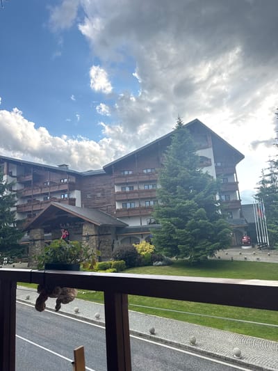 The image presents a detailed view of the Kempinski Hotel Grand Arena Bansko in Bansko, Bulgaria, observed from an elevated balcony perspective. The large, multi-story hotel building dominates the midground, characterized by its alpine architectural style featuring extensive dark wooden paneling, white facade sections, and numerous balconies on each floor, many equipped with planters containing red flowers. The main entrance, centrally located, consists of heavy stone pillars supporting a dark sloped roof, beneath which an antler-shaped chandelier is visible. Partial lettering of "Kempinski" is discernible above the entrance. To the right of the hotel structure, a tall, mature evergreen tree stands prominently. Further to the right, three flagpoles display flags, one distinctly identifiable as the German national flag. A large, spherical red outdoor decoration with white text, which includes "Bansko loves you" and a shamrock design, is positioned near the flagpoles.
In the foreground, a dark wooden balcony railing extends horizontally across the lower portion of the frame. A potted plant with red blossoms rests on the railing to the left, while a small, brown, fuzzy stuffed animal, resembling a sloth, hangs upside down from the railing. Below the railing, a paved road with a solid white center line and a white edge line is visible. The road is bordered by a cobblestone sidewalk lined with regularly spaced light-colored spherical bollards. Beyond the sidewalk, a well-maintained green lawn interspersed with shrubs and smaller trees leads up to the hotel structure. The sky is partially cloudy, displaying both patches of clear blue and formations of white and grey clouds, with visible water droplets in the air suggesting recent or ongoing light precipitation. No people are present in the scene.