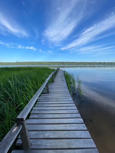 A wooden dock extends into a calm body of water, bordered by lush green grass and reeds. The water reflects the sky, which is a vibrant blue with wispy white clouds. Across the water, a dense forest stretches along the horizon. The dock appears to be made of weathered grey wood planks. A railing runs along the side of the dock. The scene evokes a sense of peace and natural beauty, likely captured on a clear day. The orientation of the image is vertical. The location context is Zarechny, Russia.