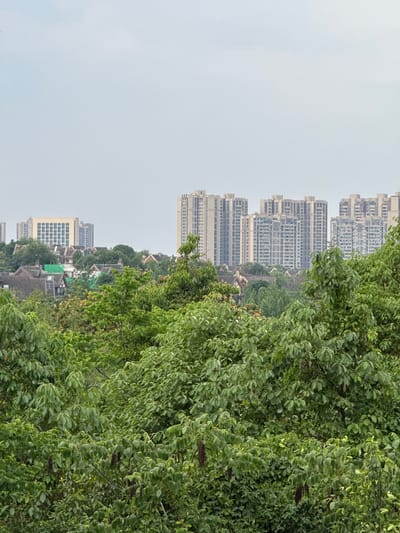 The image shows a landscape with a focus on dense green foliage, likely trees, filling the right side of the frame. Behind the foliage, a cluster of tall, modern apartment buildings rise into the sky, suggesting an urban or suburban environment. Lower buildings and roofs are visible amidst the trees, further indicating a mixed urban and natural space. The sky is overcast, with a hazy, muted tone. The location is Chenghua District, China, as the apartment buildings are typically found in that region of China. There are no people visible in the image.