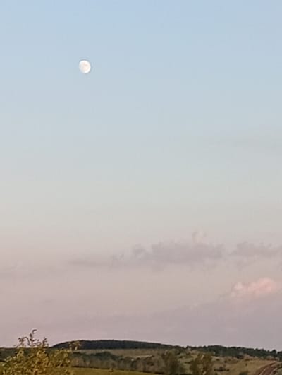 The image depicts a pale sky with a crescent moon visible in the upper left quadrant. The lower portion of the image shows a rolling landscape, possibly with fields and trees, under a soft, diffused light, suggesting either dawn or dusk. There are no people or animals visible in the frame. The scene is tranquil and natural. The location is identified as Buteni, Moldova.