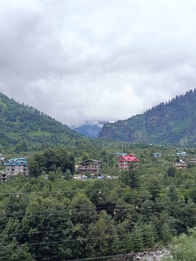 The image depicts a wide shot of a lush, mountainous landscape in Palchan, India. The scene is dominated by dense green foliage covering the rolling hills and mountains that recede into the distance. A cloudy sky with diffuse light hangs overhead. In the midground, several buildings are visible nestled among the trees. These structures appear to be residential or possibly small hotels, characterized by their multi-story designs and various roof colors, including blue and red. The architecture suggests a blend of modern construction with the natural environment. Power lines with insulators traverse the lower portion of the image, indicating the presence of infrastructure within this semi-rural or small town setting. The overall impression is one of a tranquil, scenic area characterized by natural beauty and human habitation integrated into the mountainous terrain. There are no people or animals visible in the frame.