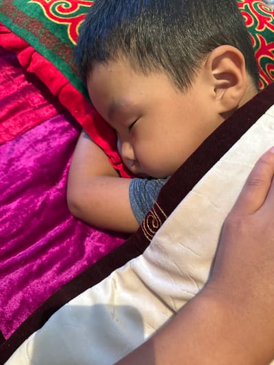 The image depicts a close-up, top-down view of a young child sleeping. The child is lying on their side, with their face turned away from the camera. Their eyes are closed, and their head is resting on a pillow. The child is wearing a blue t-shirt. They are covered by a blanket with a vibrant pink velvet texture. Above the pink blanket, there is a red fabric with gold and green embroidery, possibly part of a traditional Kyrgyz textile. A person's hand, with visible fingers and fingernails, is resting near the child's head on top of a cream-colored quilted fabric. The background suggests an indoor setting, possibly a home in Тайгараев, Kyrgyzstan, characterized by the colorful and ornate textiles commonly found in Kyrgyz households. The overall scene conveys a sense of peace and rest.