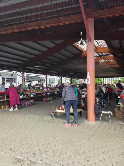 This image depicts an outdoor market scene, likely in Daugavpils, Latvia, during daylight hours with fair weather. The scene is under a covered structure with a wooden roof supported by large, reddish-brown pillars.

Several people are browsing or working at stalls. In the foreground, a person in a pink robe and white sneakers is visible, looking at produce. To their left, another person in a gray top and dark pants is also looking towards the stalls. Further back, a woman in a blue jacket and jeans is walking away, pushing a wheeled cart. More people are scattered throughout the market, some standing, some sitting, and some appearing to be vendors.

The stalls are laden with various goods, including flowers in pots and what appears to be fresh produce. Signs are visible on some of the stalls. One sign reads "GUNDEGAS LAUCESAS PAGASTS" and another, "RIEKSTINI LAUCESAS PAGATIS". A warning sign is also visible with "CANĪBU!" and a crossed-out symbol. In the background, a white building with windows is visible, suggesting the market is situated within a town or city. The ground is paved with light-colored bricks. The overall atmosphere appears to be relaxed and focused on commerce and community interaction.