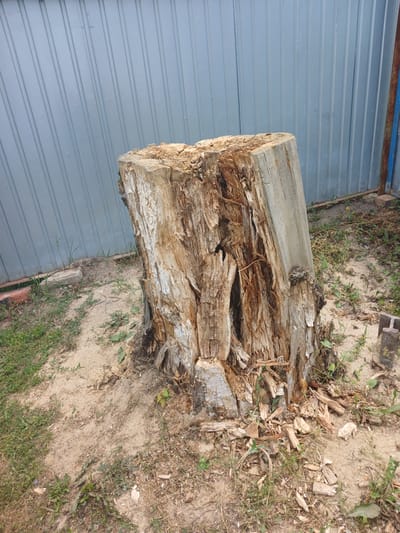 An outdoor scene features a weathered, partially decayed tree stump in the foreground. The stump is made of light-colored wood, with rough, splintered textures and visible damage. It is positioned on sandy ground with patches of dry grass and weeds surrounding it. Behind the stump, a corrugated metal fence, colored light blue-grey, serves as the backdrop. The fence has vertical ridges and appears to be a boundary for the property. To the right of the fence, a glimpse of a rusty metal post is visible, suggesting it is part of a gate or another structure. The lighting suggests daytime. The location is identified as Жалтыр, Kazakhstan.