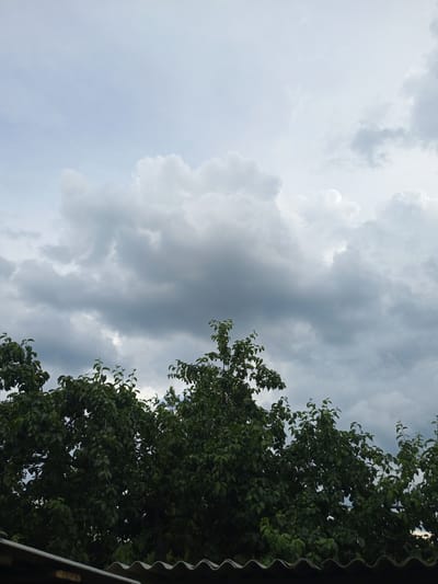 The image depicts a cloudy sky above a line of dark green trees. The sky is filled with a variety of clouds, ranging from light and wispy to dark and heavy, suggesting an overcast or impending rain. The trees are dense and full of leaves, with some small green fruits visible on the branches, indicating a summer or early autumn setting. At the bottom of the frame, the corrugated roof of a structure is partially visible. The overall mood is subdued, with the heavy clouds creating a sense of a dramatic or potentially stormy day. There is no visible text in the image. The location context is Shostka, Ukraine.
