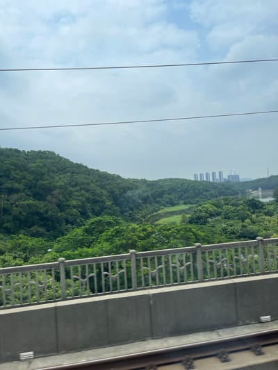 The image depicts a landscape view from a structure, possibly a bridge or elevated walkway, looking towards a lush, green, tree-covered mountainside. In the distance, several tall, modern buildings are visible against a hazy sky. The sky is overcast with some lighter patches, suggesting a cloudy day. A metal railing with an ornate pattern runs along the right side of the frame, providing a sense of looking out from an elevated vantage point. Several thin, dark wires run diagonally across the left side of the image, indicating the presence of power lines or similar infrastructure. The overall scene conveys a sense of urban development encroaching on a natural environment. The time of day appears to be daytime, given the light. There is no visible text in the image. The location context is Dongguan, China.