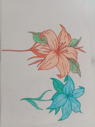 This media file features a drawing of two stylized flowers on a white, grid-lined background, likely a page from a notebook. The top flower is depicted in shades of orange and coral, with green leaves. It has six petals, each with delicate lines suggesting texture, and a central stamen with small dots. A thin, dark line extends from the flower stem towards the left side of the frame. The bottom flower is a vibrant turquoise and green, also with six petals and a visible stamen. Both flowers appear to be in bloom, with the petals unfurled. The drawing is done with colored pencils or markers, and black outlines define the shapes. There are no people, specific scenes, or text visible in the image. The setting appears to be indoors, given the notebook paper. No environmental cues like time of day or weather are present. The drawing conveys a sense of natural beauty through the artistic representation of the flowers.
