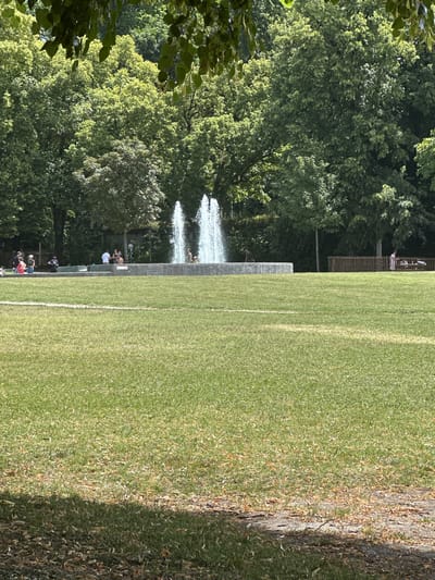 The image depicts a sunny day in a park, likely located in Lausanne, Switzerland. In the background, a large, multi-tiered fountain sprays water into the air, surrounded by lush green trees. Several people are visible in the vicinity of the fountain, some sitting on the fountain's edge, others standing. A wooden fence runs horizontally in the middle ground, separating the fountain area from a grassy field in the foreground. The field is well-maintained, with some scattered leaves. The overall atmosphere suggests a leisurely, recreational setting.