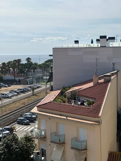 The image depicts a coastal urban landscape in Pineda de Mar, Spain, viewed from an elevated position under a sky with scattered white clouds.

In the foreground, the upper section of a light beige multi-story building is visible. Two balconies with glass railings and closed white shutters are present on its left side. An air conditioning unit is mounted below the lower balcony. The building's roof features reddish-brown terracotta tiles, forming an L-shape around an internal rooftop courtyard. This courtyard contains numerous potted plants and dense vegetation, and a clothesline with hanging laundry. A television antenna and a chimney are visible on the roof structure. Two pigeons are perched on a lower roof edge.

The midground features a set of railway tracks running horizontally across the scene, parallel to the coastline. To the left of the tracks, an unpaved parking lot contains multiple parked cars of various models and colors. A circular speed limit sign indicating "110" is positioned near the tracks. Beyond the parking area, multiple green-surfaced sports courts, enclosed by fencing, are discernible, with "Cervecita" visible as text on a structure adjacent to one court. A dense line of palm trees and other foliage separates these facilities from the water.

In the right midground and extending into the background, a large, modern building with a light grey, paneled facade rises. Its flat roof is equipped with several dark ventilation units and surrounded by glass railings.

The background shows the Mediterranean Sea stretching to the horizon under a light blue sky. No human figures are explicitly visible.