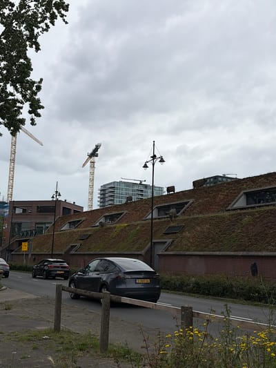 This image presents a detailed urban street scene on an overcast day in Rijswijk, Netherlands, specifically featuring the Dierentunnel (Animal Tunnel), also known as Bizonburg. In the upper left quadrant, the dark green foliage of a large tree extends into the frame. The immediate foreground shows an unkempt grassy verge with various weeds and scattered yellow-flowered plants. A low wooden barrier, consisting of three vertical posts and a horizontal top rail, runs parallel to the road. The midground is dominated by a two-lane asphalt road, delineated by a broken white line. Three vehicles are visible, all traveling away from the viewer. In the right lane, a dark grey Tesla Model Y (Dutch license plate S-300-GK) is seen from its rear. Ahead and to the left of the Tesla, in the left lane, is a dark grey Seat Leon (Dutch license plate R-407-LK), also viewed from the rear. A third, lighter-colored vehicle (silver/grey) is partially visible on the far left of the road. Two black, ornate street lamps with dual lanterns stand along the roadside; one is prominent on the right, and another is partially visible on the left. The central architectural feature is a large, man-made earthen hill, which constitutes the roof of the Dierentunnel. This entire surface is covered in dense green vegetation, resembling a mossy or sedum roof. Multiple sloped, rectangular skylights or windows are integrated into this green surface. Several dark-colored, realistic animal sculptures are positioned on the green roof: two larger bovine-like animals (resembling Highland cattle or bison) are situated higher up, while a smaller animal sculpture (possibly a wild boar) is visible at a lower elevation near one of the skylights. Below the green roof, a brick wall extends along the right side of the road, partially obscured by low bushes and wild vegetation. A dark, rectangular object is mounted on this brick wall. A single individual, dressed in dark attire, is faintly discernible walking on the far right side of the image, partially obscured by the Tesla and the wooden barrier. In the background, behind the green-roofed tunnel, a multi-story brown brick building with modern windows is visible on the left. Further to the right, several taller, contemporary buildings with glass facades and visible balconies are present. The sky above is uniformly overcast with a thick layer of grey clouds, indicating a cloudy daytime setting. Two tall, yellow construction cranes are prominent against the
