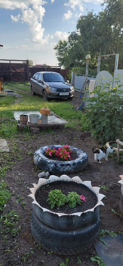 The image depicts a yard scene in the city of Tashkazgan, Russia. In the background, a brown sedan is parked on a gravel driveway. The yard is fenced with a chain-link fence and a wooden fence. A large tree is visible on the right side of the image. In the foreground, there are two planters made from tires, one containing pink flowers and the other with green plants. A calico cat is walking in the yard near the planters. The ground is covered with dirt and grass. The sky is cloudy with some patches of blue.