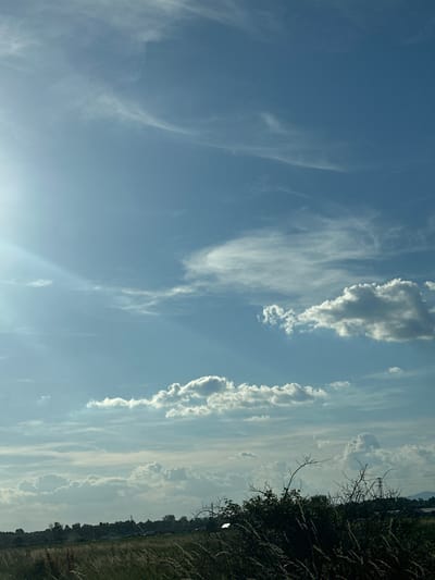 The image depicts a wide, open sky filled with various cloud formations over a rural landscape. The sky is a bright, clear blue with streaks of wispy cirrus clouds at higher altitudes and more substantial cumulus clouds lower down. A bright sunbeam is visible on the left side of the image, casting a lens flare. The horizon is lined with a low ridge of trees and vegetation, suggesting a natural or undeveloped area. In the foreground, tall, dry grass and the branches of a bush are prominent, indicating a field or meadow. A distant power line tower can be seen on the right side of the horizon. The scene appears to be set in the vicinity of Dolni Bogrov, Bulgaria, likely a rural outskirts or agricultural area, given the natural elements and absence of dense urban structures. There are no people or specific activities immediately apparent in the image.