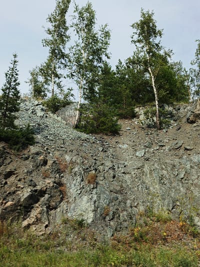 A rocky hillside with sparse vegetation is visible under a pale sky. The hillside is covered in gray and green stones, with patches of dry grass and small bushes. Several birch trees with white trunks and green leaves grow from the top of the hill, along with some coniferous trees. The rock face has some lighter-colored markings on it. The bottom of the image shows a strip of green grass.