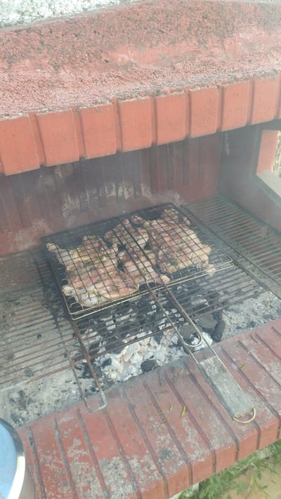 This image depicts a close-up, high-angle shot of raw chicken pieces arranged on a metal grill over hot coals in an outdoor brick barbecue pit. The chicken appears seasoned with herbs and spices. The barbecue pit is constructed from red bricks, with visible ash and embers beneath the grill. The surroundings suggest an outdoor setting, possibly a garden or backyard, with a hint of greenery visible in the lower right corner. The lighting is natural, indicating daytime. The image is taken from a perspective slightly above and to the side of the barbecue. There are no people visible in the frame. The scene is consistent with food preparation for a barbecue.
