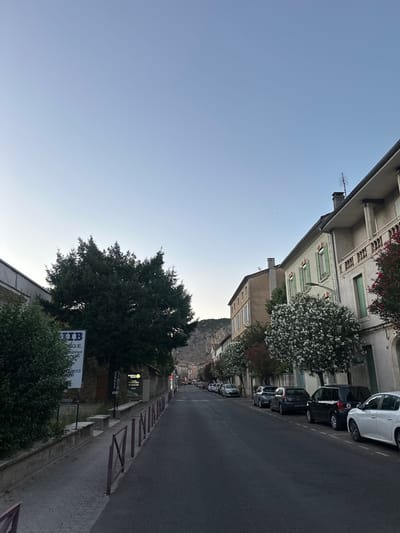 This image depicts a street scene in Anduze, France, at dusk. The perspective is from the sidewalk looking down a paved road lined with parked cars. On the right side of the street, a row of multi-story buildings with traditional architecture, featuring light-colored facades and green shutters, are visible. Flowering trees with white blossoms are planted along the sidewalk in front of some of the buildings. On the left side of the street, a large evergreen tree dominates the foreground, with a large billboard and a hedge to its left. Beyond the billboard, there is a glimpse of a stone wall and more vegetation. The sky is a pale blue, indicating early evening. The street itself is asphalt, with white lines marking parking spaces. The scene is quiet, with no people visible. In the distance, a mountainous landscape is faintly visible.