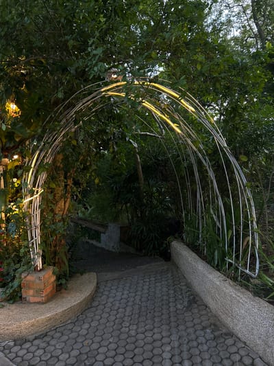 This media file captures a dimly lit, lush garden setting in Ratsada, Thailand, likely during the evening or at dusk. The scene is dominated by abundant greenery, with dense trees and foliage framing the view. A prominent feature is a large, arched structure made of thin, metallic poles, possibly a trellis or arbor, that has been partially covered by creeping vines and leaves. Some of these poles are illuminated, casting a warm, yellow light that contrasts with the surrounding shadows.
To the right of the frame, a paved pathway is visible, composed of hexagonal concrete pavers arranged in a distinctive pattern. Adjacent to the path, a curved, textured stone border runs along the edge, separating the paved area from the more natural, overgrown garden. A small, partially built structure of red bricks sits near the base of the stone border, suggesting ongoing garden work or a decorative element.
The overall atmosphere is one of natural beauty and tranquility, with the interplay of light and shadow creating a slightly mysterious or romantic ambiance. The time of day is indicated by the low, warm light, and the presence of dense vegetation points to a tropical or subtropical climate. No people are visible in the frame, and no text is present.