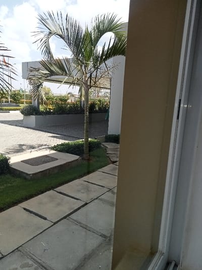 The image depicts an outdoor landscaped area in Athi River ward, Kenya, viewed from an interior vantage point. The right side of the frame is occupied by a light tan vertical wall, with a white window or door frame immediately to its left. A path constructed from light grey square concrete slabs with prominent gaps extends from the lower right foreground towards the mid-left. Parallel to this path on the left is a strip of green grass. Positioned on the grass, a raised concrete block contains a dark rectangular metal grate. Behind this block, low green shrubs are cultivated.

In the midground, a single slender palm tree with numerous green fronds stands centrally, casting a discernible shadow to its left. Beyond the palm tree, a paved area composed of dark grey paver bricks, arranged in a herringbone pattern, is visible. Further back, a long, raised planter box filled with dense green foliage spans horizontally. To the left of the palm tree, a modern, light-colored architectural canopy, supported by slender pillars, is present. The background reveals distant vegetation, faint structures, and a blue sky with scattered white clouds. No individuals are present in the scene. The environment is orderly and appears well-maintained under bright, natural illumination.