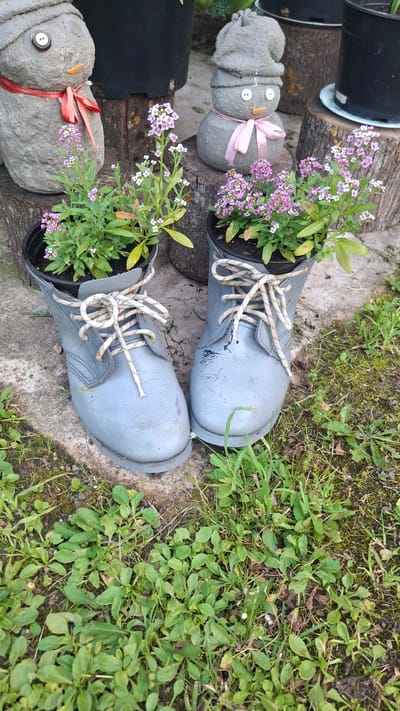 In a garden setting, two gray boots, repurposed as planters, hold small, flowering plants with delicate pink and white blossoms. The boots are laced with thick white rope. Behind the boots, two concrete snowmen figures stand on logs. The left snowman is adorned with a red ribbon, and the right snowman wears a pink ribbon. The ground is covered with green grass and some concrete paving stones. The scene is outdoors and appears to be a decorative garden arrangement. The location is identified as Дзямідавіцкі сельскі Савет, Belarus.