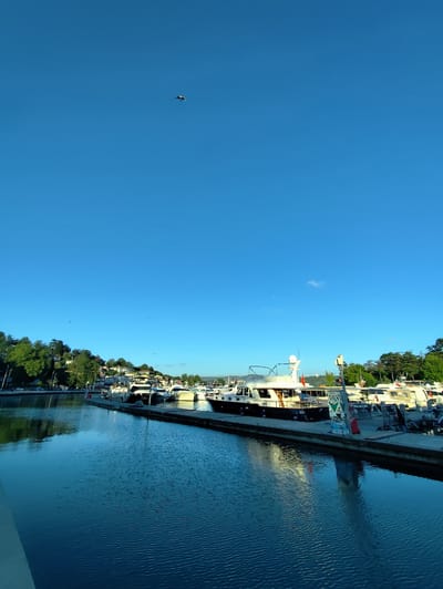 The image shows a marina in Sarıyer, Turkey, on a clear day with a bright blue sky. Several boats of various sizes are docked along a concrete pier. The water is calm with small ripples reflecting the sky and the boats. On the left side of the image, a tree-covered hillside with houses is visible. In the sky, a bird is in flight, and a faint white cloud is also present. The scene appears peaceful and serene, depicting a typical day at a waterfront location.