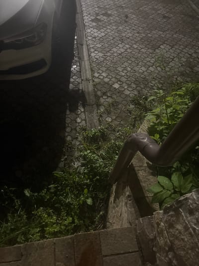 The image shows a dark, wet outdoor scene, possibly at night, with a partial view of a white car on the left. The ground is paved with interlocking stones, and there is a curb separating the pavement from an area of dense, green vegetation. A dark-colored drainpipe is visible running diagonally across the frame, curving downwards. The vegetation appears to be overgrown and wet, with water droplets visible on some leaves. In the foreground, there are stone steps. The overall impression is one of an unkempt area next to a road or driveway. There are no people or animals visible. The location is identified as Orekhovka, Russia.