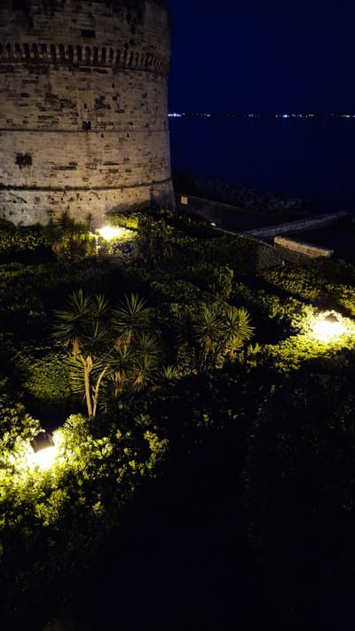 The image depicts an outdoor scene at night in Taranto, Italy. The primary subjects are a section of an old, weathered stone wall, possibly part of a historic fortification, and a dense arrangement of lush green vegetation, including palm-like plants and ivy, that grows along and over the wall. Several artificial lights are visible, casting a warm yellow glow that illuminates parts of the greenery and the stone. One light is positioned near the top of the vegetation, and another is lower down, closer to the ground. The sky is dark blue, indicating nighttime, and a tall, thin structure with intermittent lights rises vertically in the distance. The scene appears serene and somewhat dramatic due to the interplay of light and shadow. The stone wall has a textured, layered appearance, with visible individual blocks and a spiraling pattern on the left side. The vegetation is thick and varied, creating a strong contrast with the solid, ancient architecture. There is no visible text in the image.