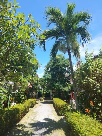 The image shows a pathway leading through a tropical garden in Baan Mae Nam, Thailand. The pathway is made of gravel and is bordered by neatly trimmed hedges with small red and orange flowers. Lush green trees and plants, including a tall palm tree, are abundant on both sides of the path. In the background, glimpses of buildings with tiled roofs are visible, suggesting a residential or resort area. The sky is a clear, bright blue with a few wispy clouds. The lighting indicates it is daytime, likely midday, with strong sunlight casting distinct shadows on the ground. There are no people visible in the image.